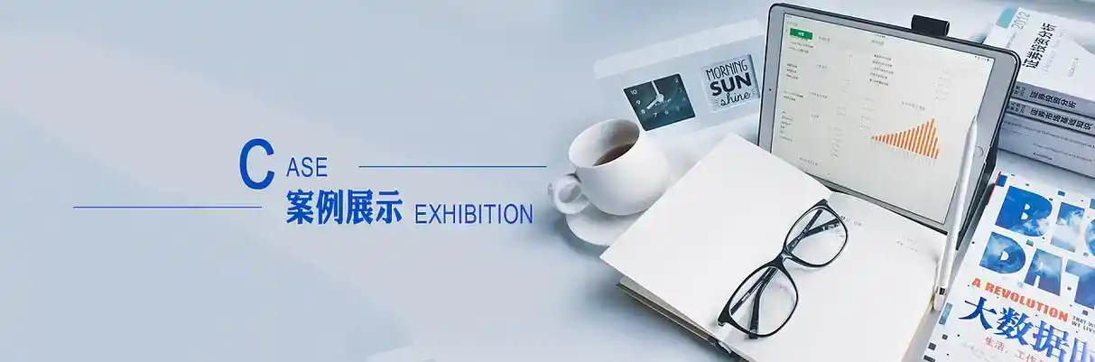 梨树区软件开发